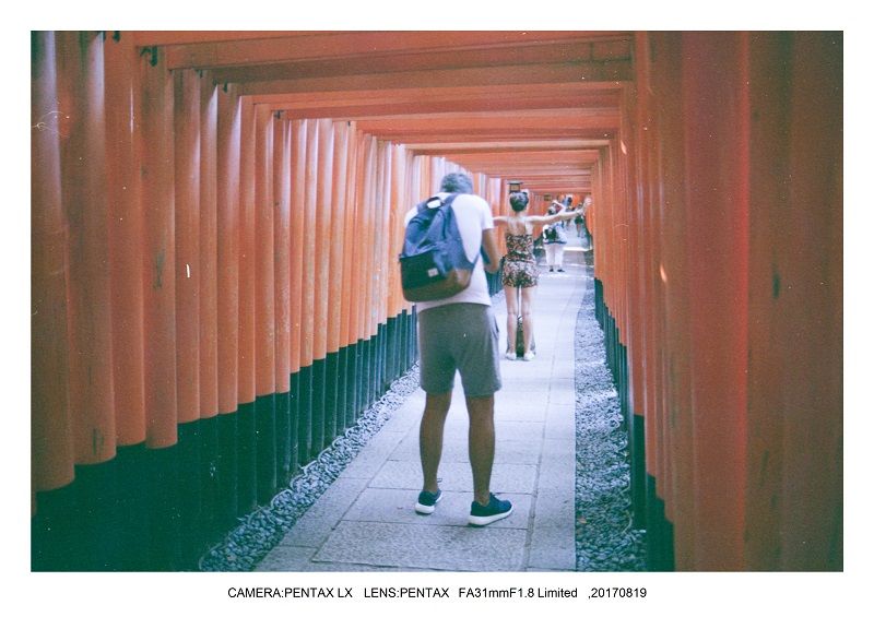 5フィルムカメラPENTAX SP&LXで京都散歩（FA31mmF1.8).jpg