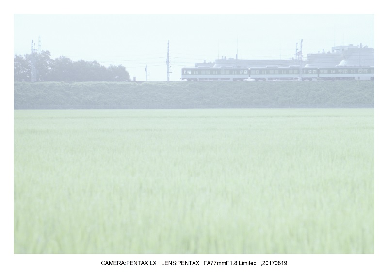 フィルムカメラPENTAX SP&LXで京都散歩（SuperTakumar50mmF1.4&FA31mmF1.8)2.jpg