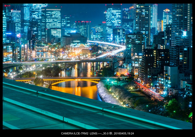 大阪・天満橋の桜夜景_10.jpg