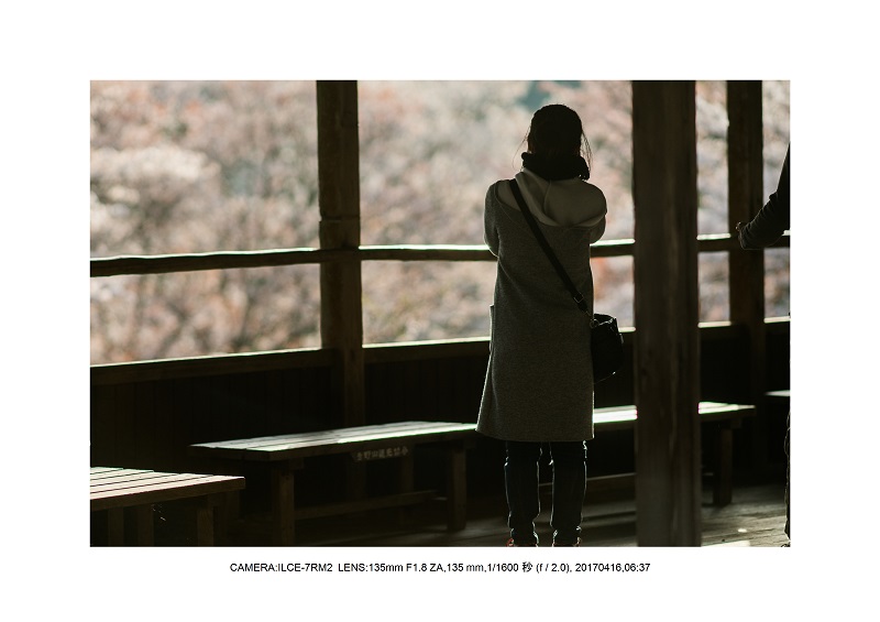 奈良の絶景風景・吉野山の桜見頃満開（下千本・中千本・上千本）旅行記画像19.jpg