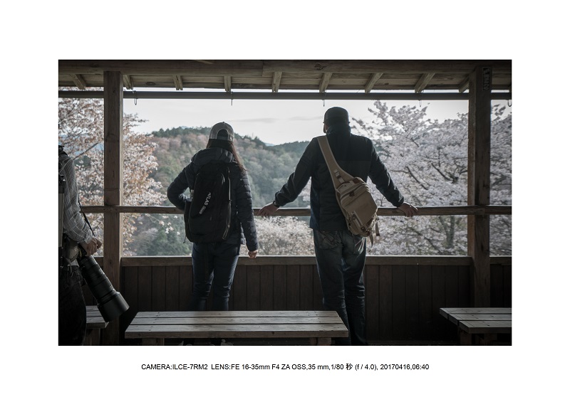 奈良の絶景風景・吉野山の桜見頃満開（下千本・中千本・上千本）旅行記画像21.jpg