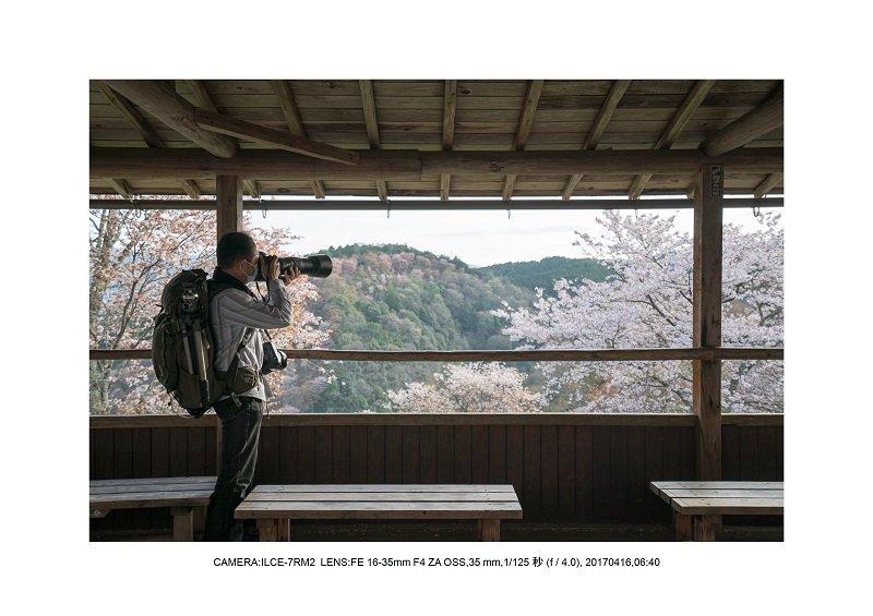 奈良の絶景風景・吉野山の桜見頃満開（下千本・中千本・上千本）旅行記画像22.jpg