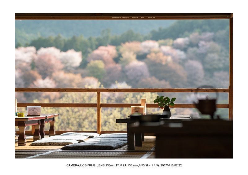 奈良の絶景風景・吉野山の桜見頃満開（下千本・中千本・上千本）旅行記画像42.jpg