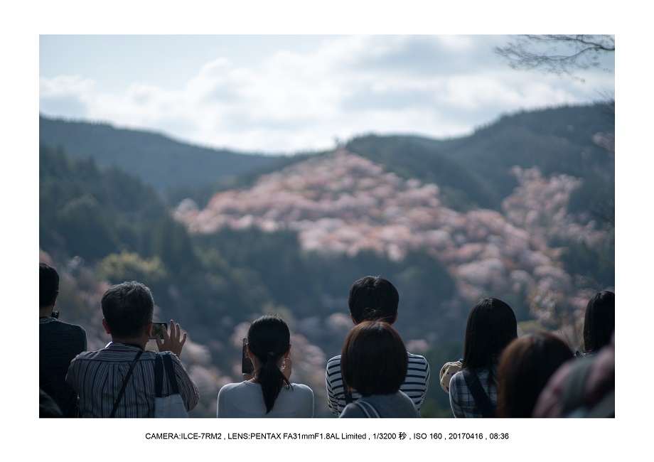 奈良の絶景風景・吉野山の桜見頃満開（下千本・中千本・上千本）旅行記画像43.jpg