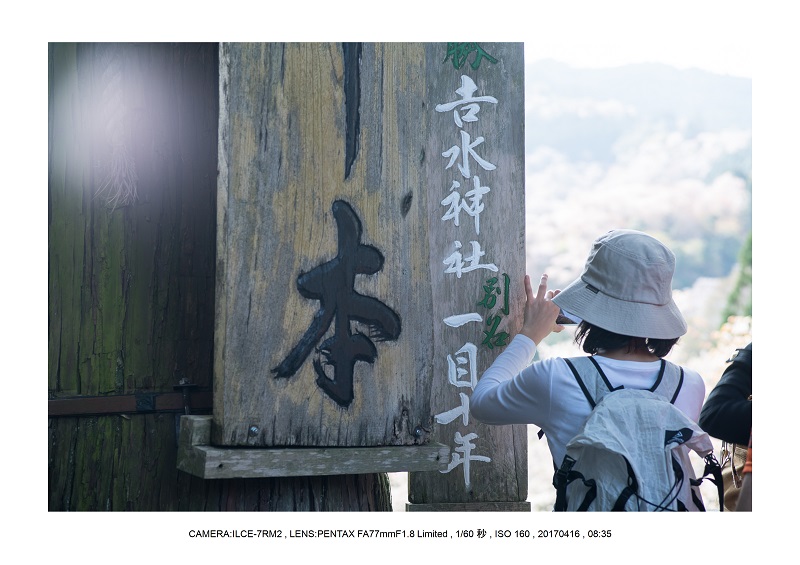 奈良の絶景風景・吉野山の桜見頃満開（下千本・中千本・上千本）旅行記画像54.jpg