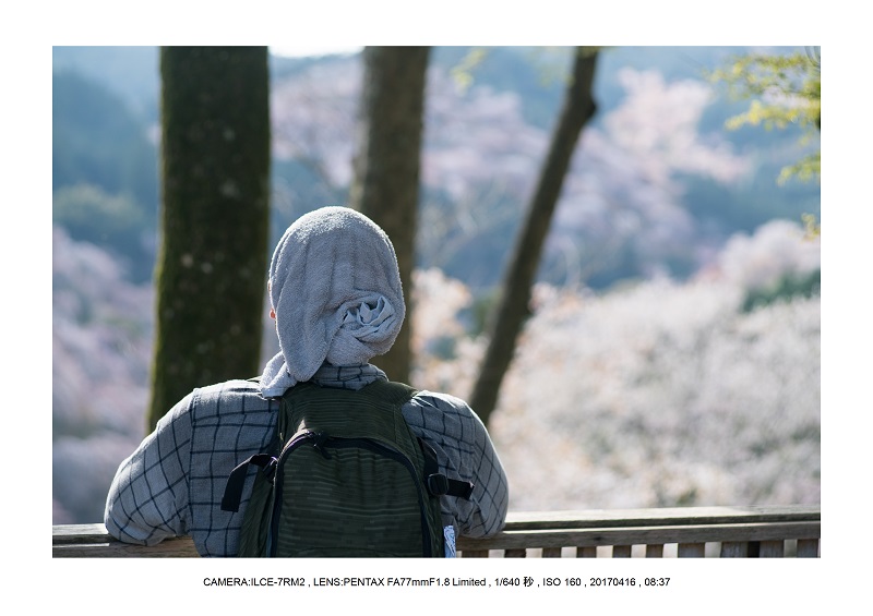 奈良の絶景風景・吉野山の桜見頃満開（下千本・中千本・上千本）旅行記画像57.jpg