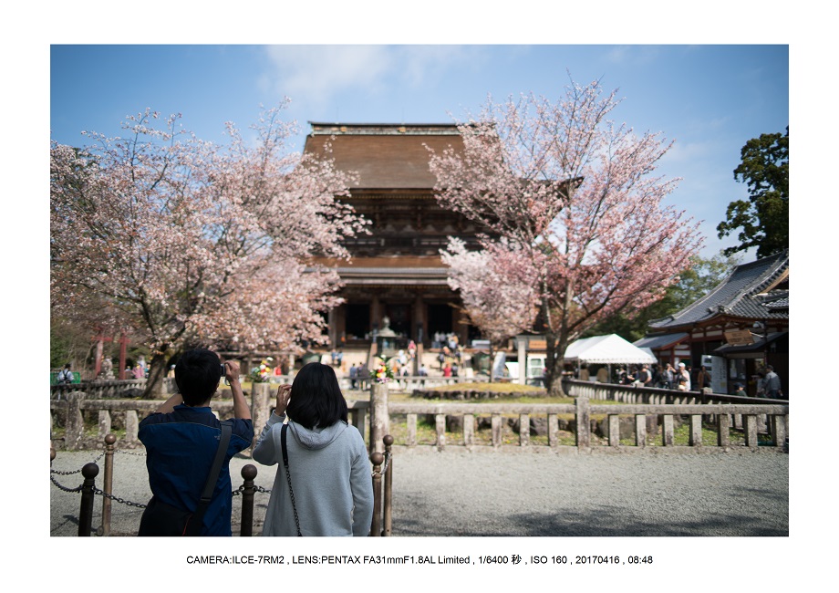 奈良の絶景風景・吉野山の桜見頃満開（下千本・中千本・上千本）旅行記画像60.jpg