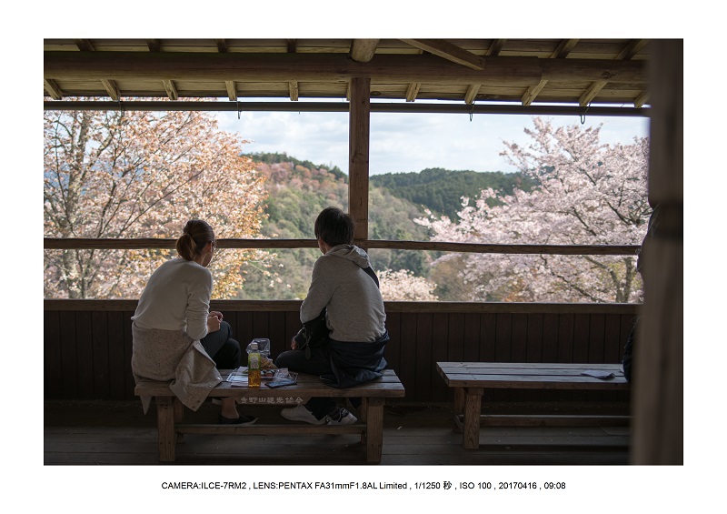 奈良の絶景風景・吉野山の桜見頃満開（下千本・中千本・上千本）旅行記画像71.jpg