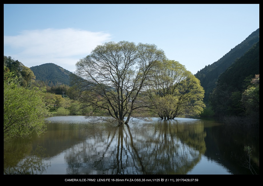 新緑の奈良・室生湖の鏡面シンメトリー18.jpg