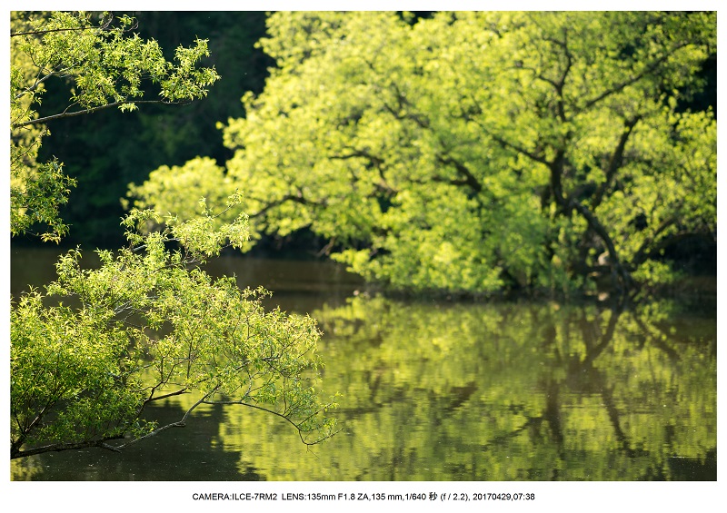 新緑の奈良・室生湖の鏡面シンメトリー26.jpg