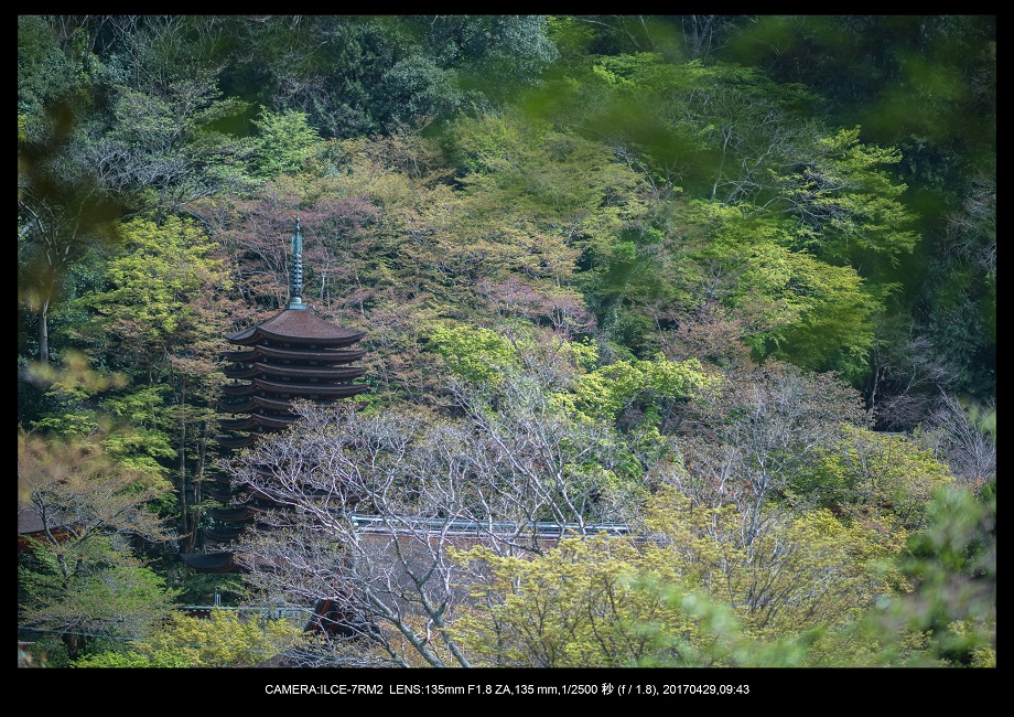 新緑の談山神社十三重の塔0-2.jpg
