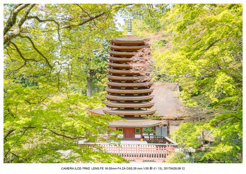 新緑の談山神社十三重の塔10.jpg