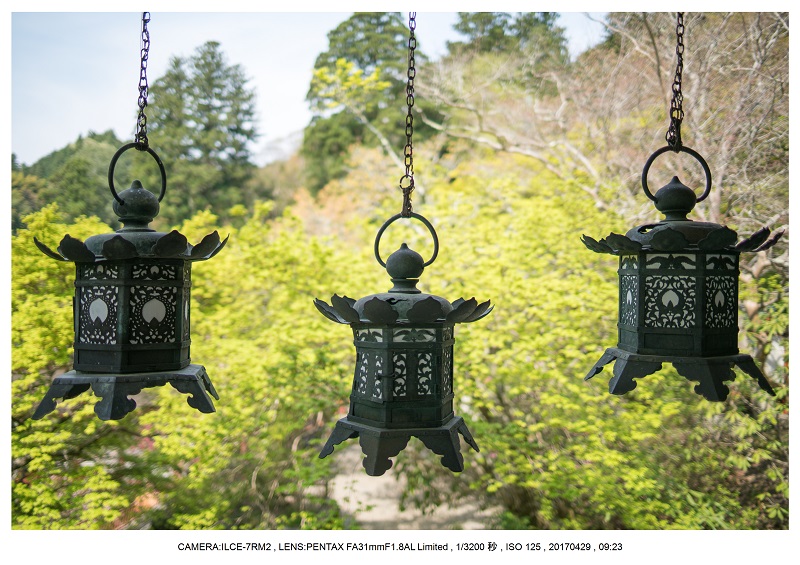新緑の談山神社十三重の塔13.jpg