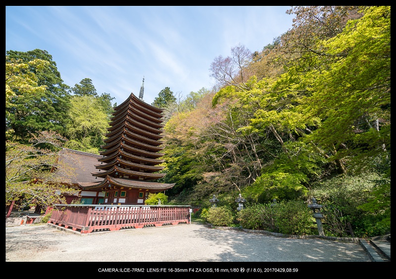 新緑の談山神社十三重の塔3.jpg