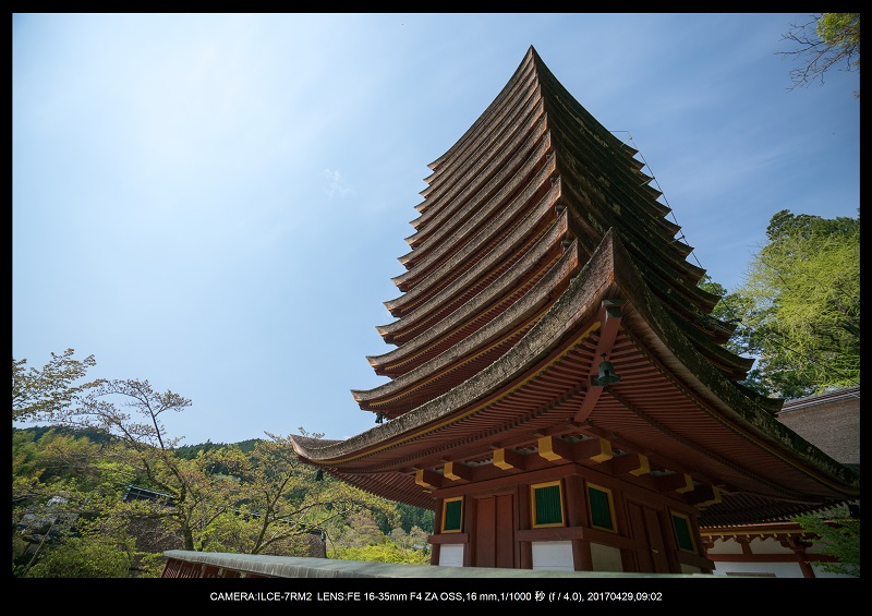 新緑の談山神社十三重の塔5.jpg