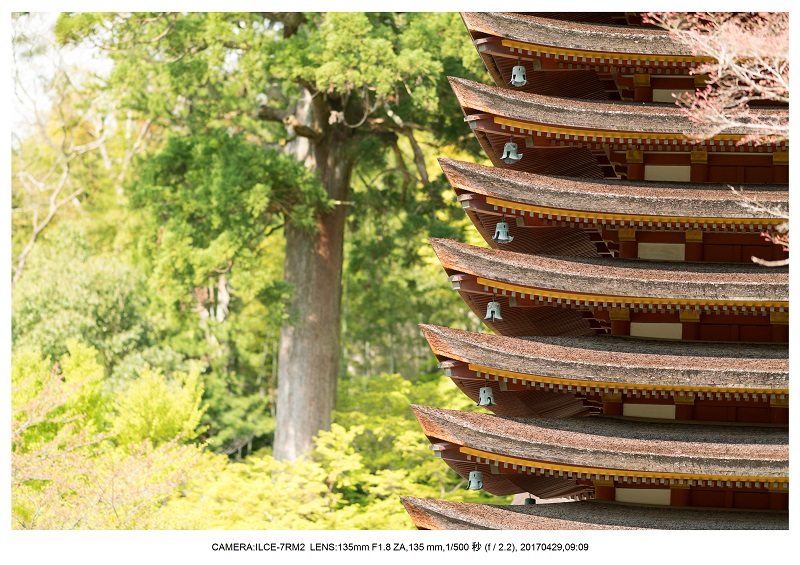 新緑の談山神社十三重の塔8.jpg