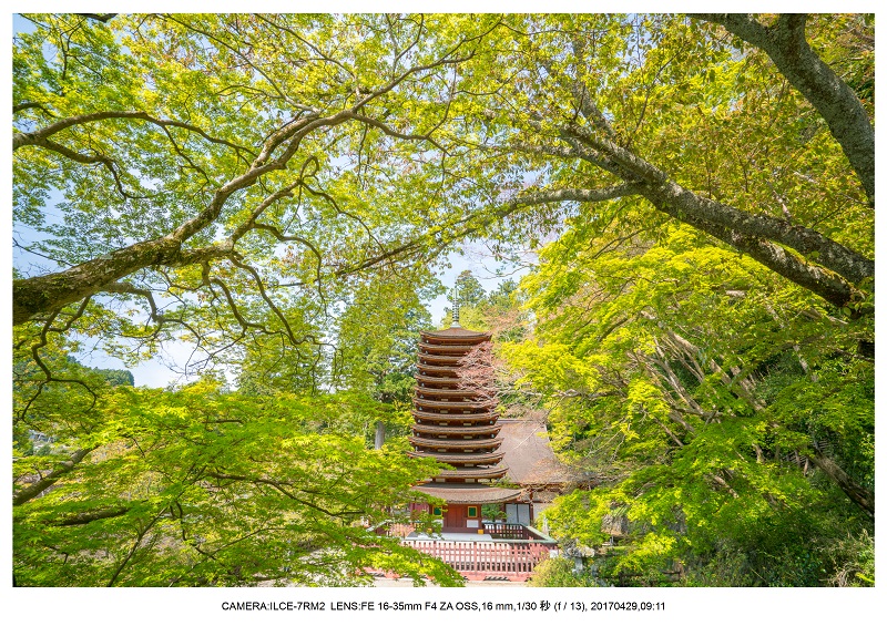 新緑の談山神社十三重の塔9.jpg
