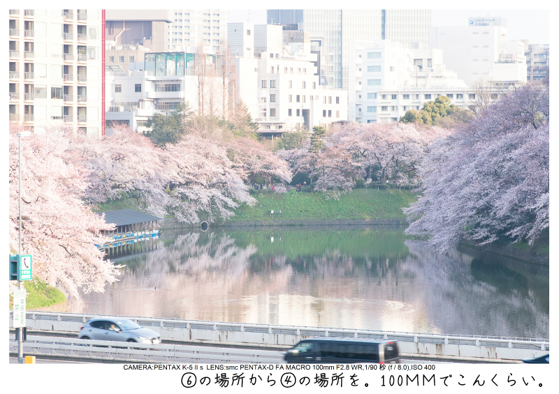関東・東京の桜（千鳥ヶ淵）japan_tokyo_chidorigafuchi11.jpg