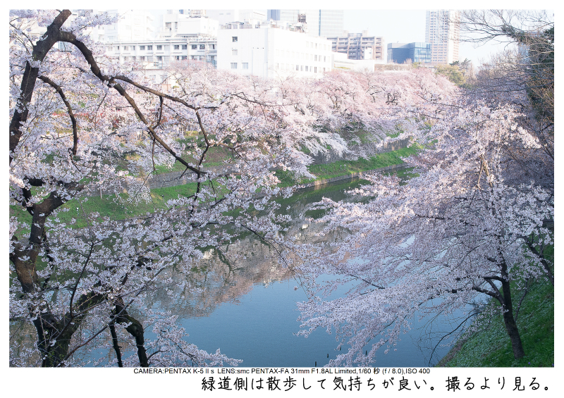 関東・東京の桜（千鳥ヶ淵）japan_tokyo_chidorigafuchi12-2.jpg