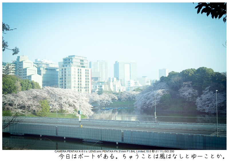 関東・東京の桜（千鳥ヶ淵）japan_tokyo_chidorigafuchi24.jpg