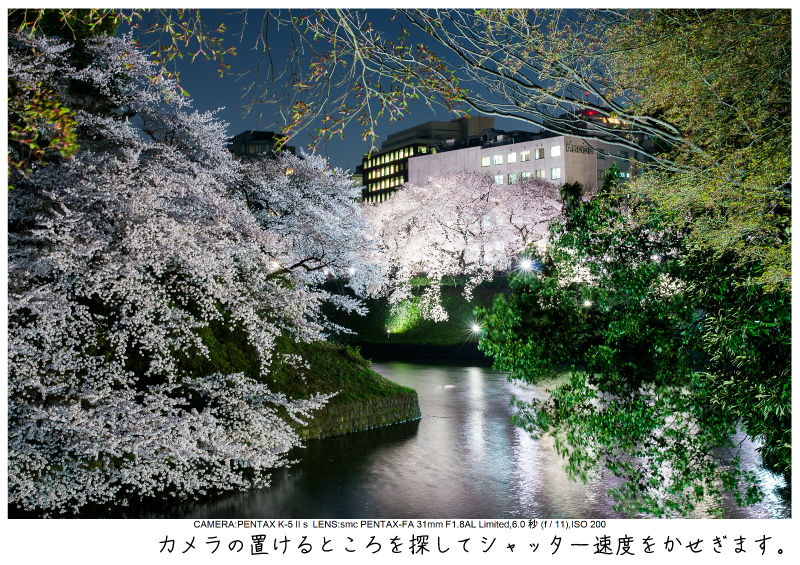 関東・東京の桜（千鳥ヶ淵）japan_tokyo_chidorigafuchi35.jpg