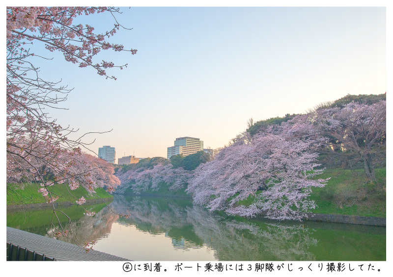 関東・東京の桜（千鳥ヶ淵）japan_tokyo_chidorigafuchi4.jpg