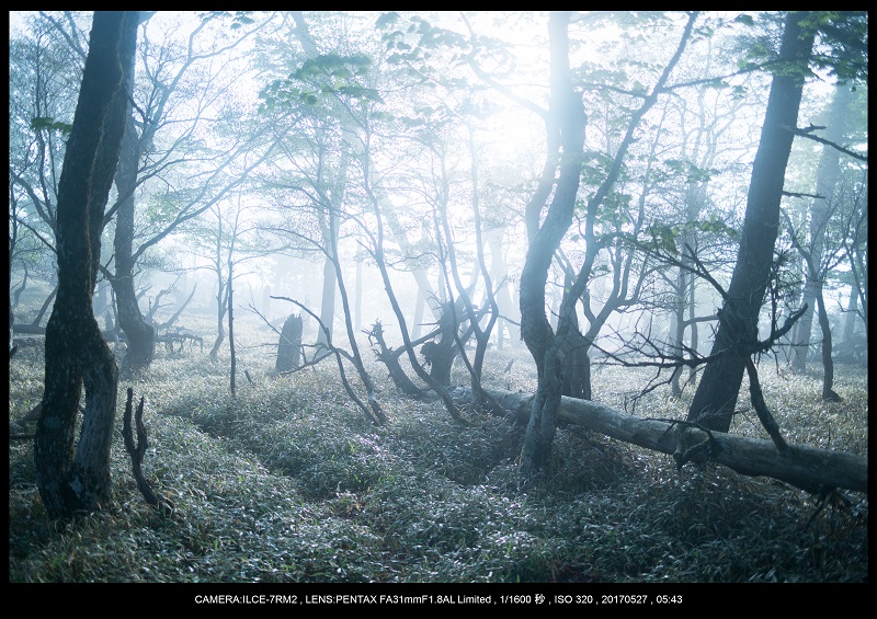 関西の星景スポット大台ケ原で星の風景撮影で天の川33.jpg