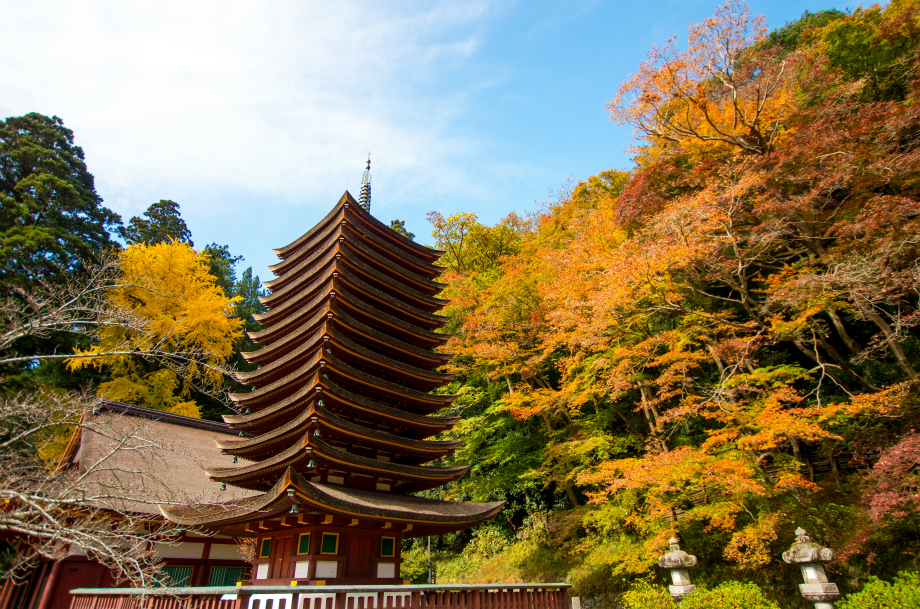 nara,japan,autumn _temple2.jpg