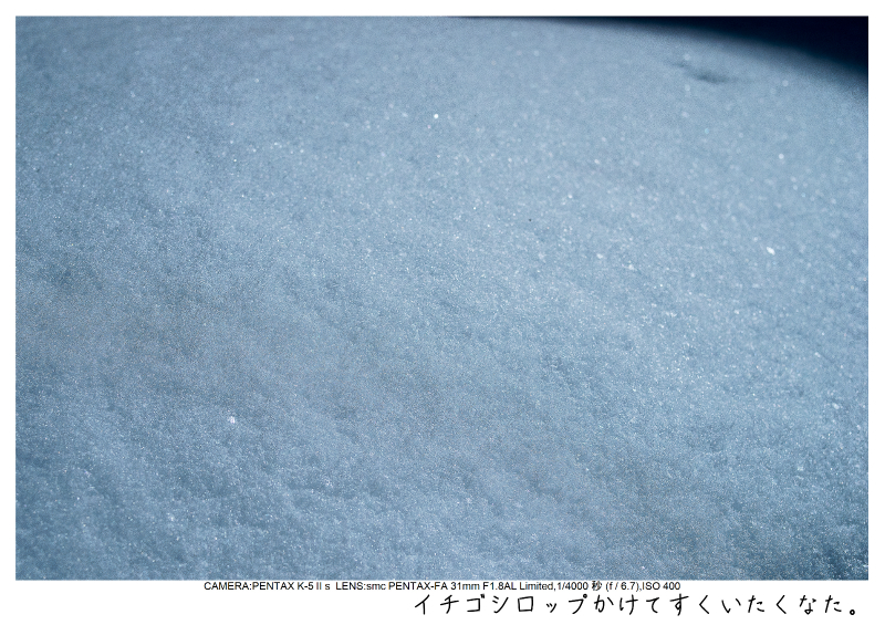 snowmonkey jigokudani12.jpg