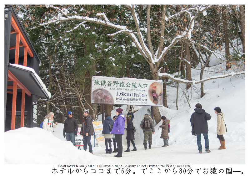 snowmonkey jigokudani18.jpg