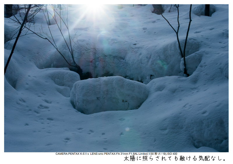 snowmonkey jigokudani21.jpg
