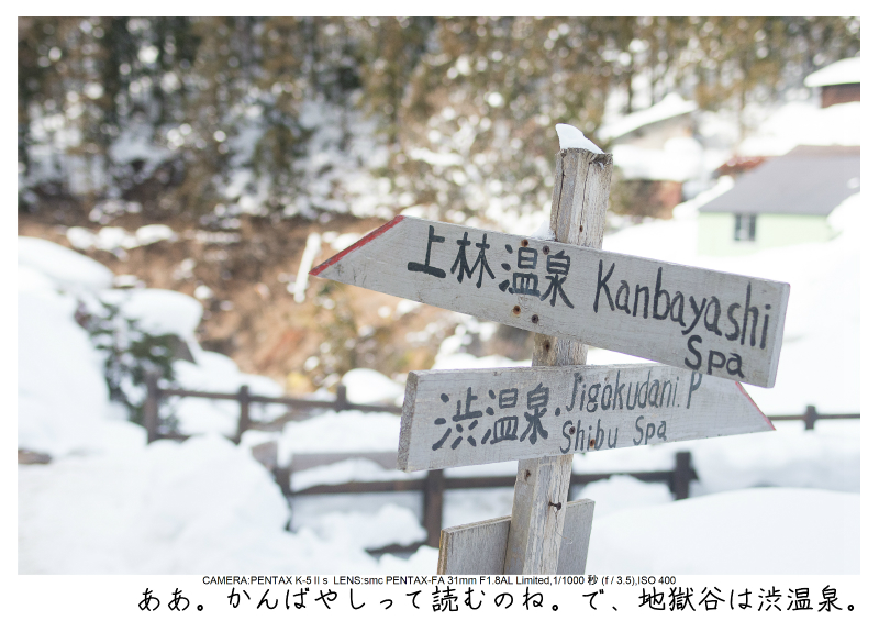snowmonkey jigokudani67.jpg