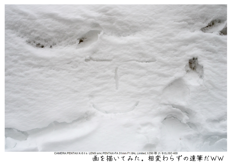 snowmonkey jigokudani92.jpg
