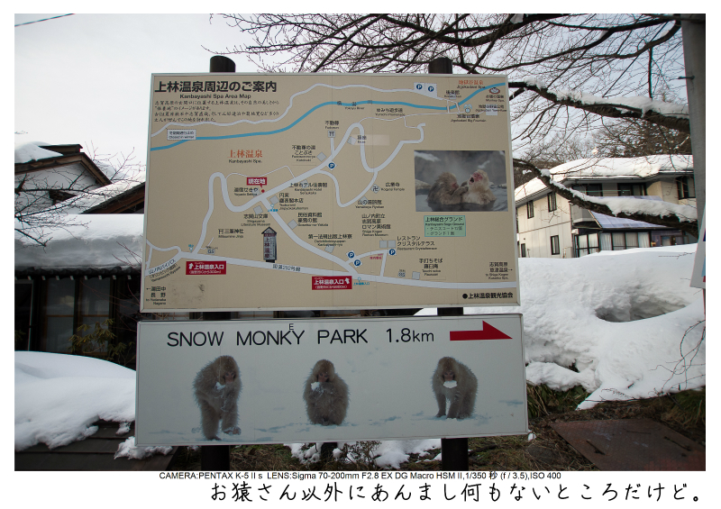 snowmonkey jigokudani95.jpg